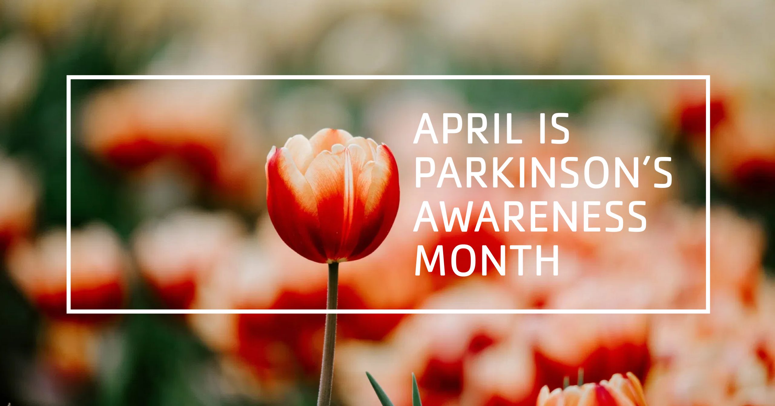 april is parkinsons awareness month Kishwaukee Family YMCA
